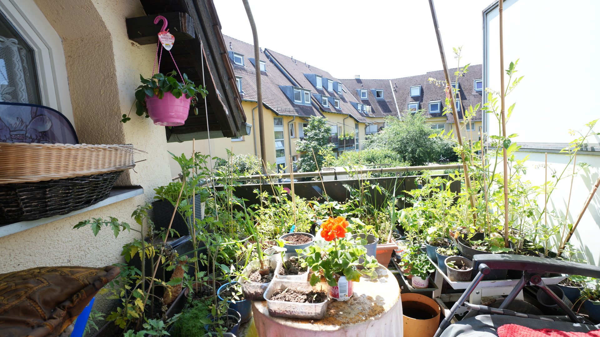 Balkon in Südlage mit Blick in den ruhigen Innenhof