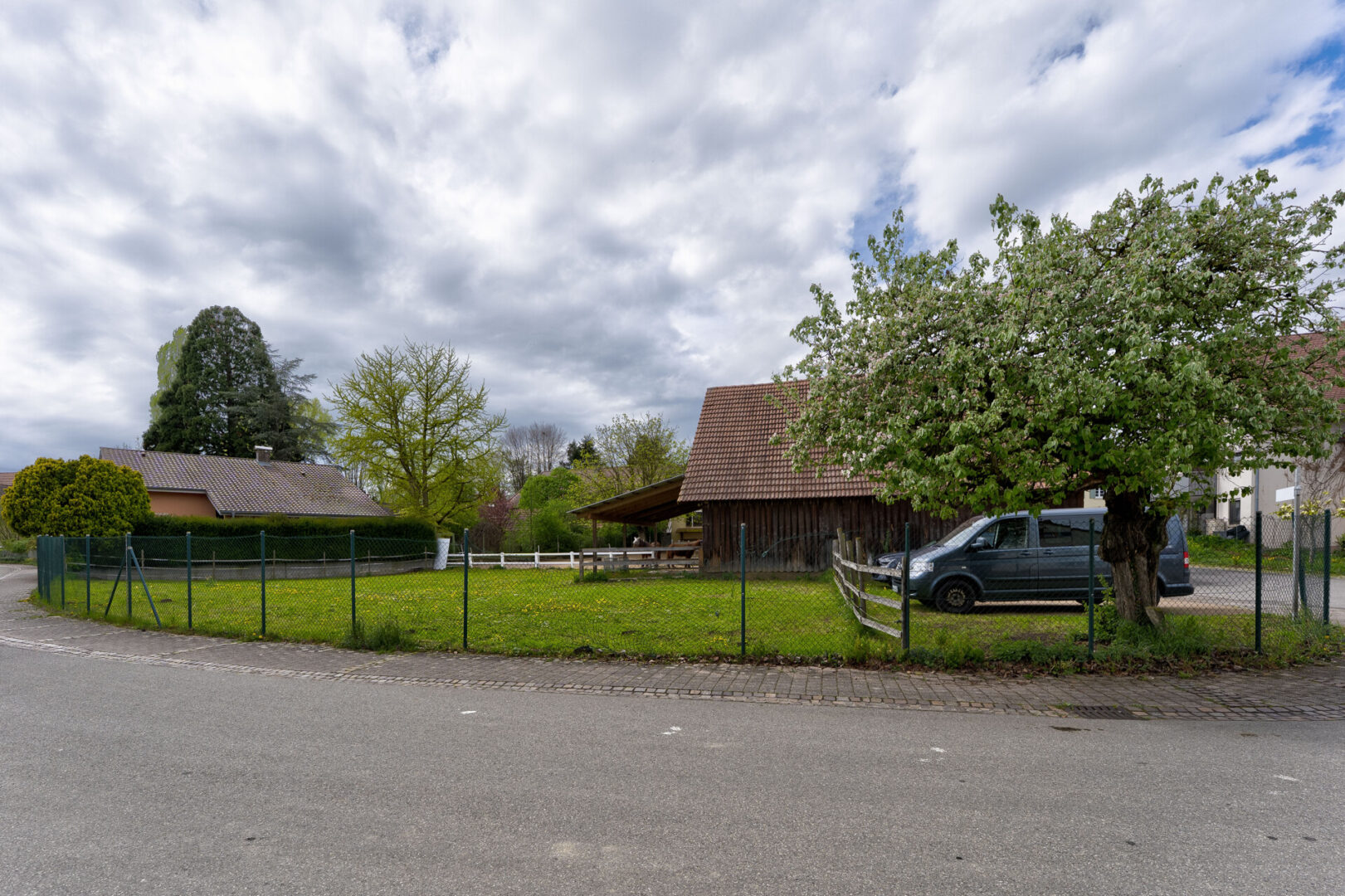 Wiese neben der Stallung