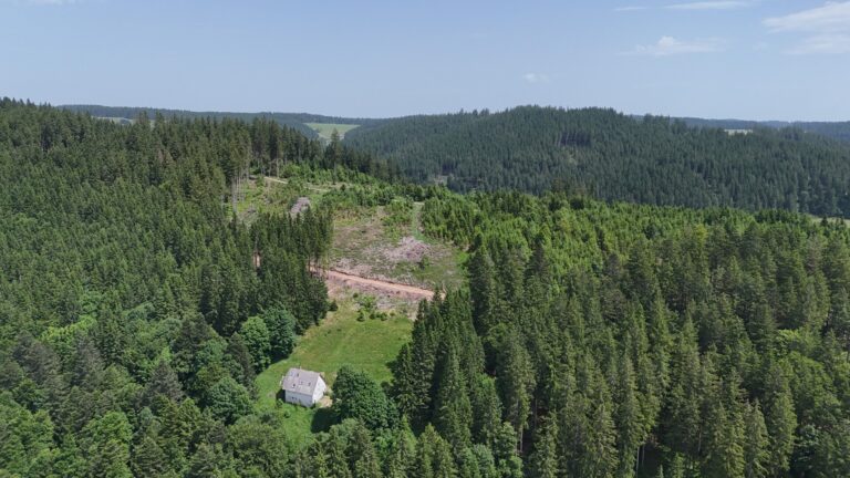 DJI_20250614122635_0031_D