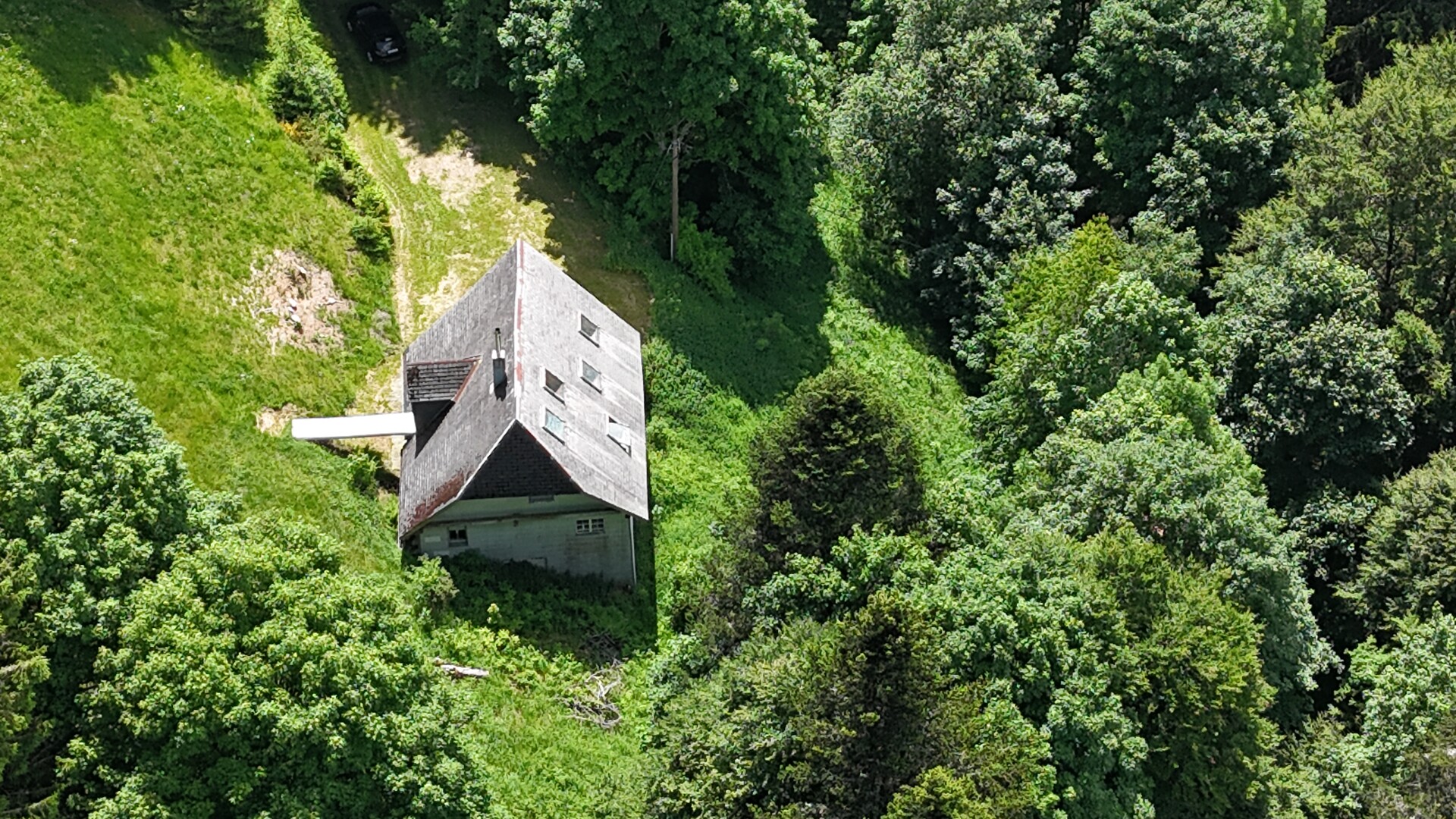 Idyllische Lage auf einer Waldlichtung