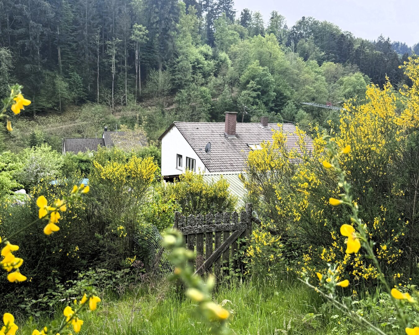 Garten in der Natur