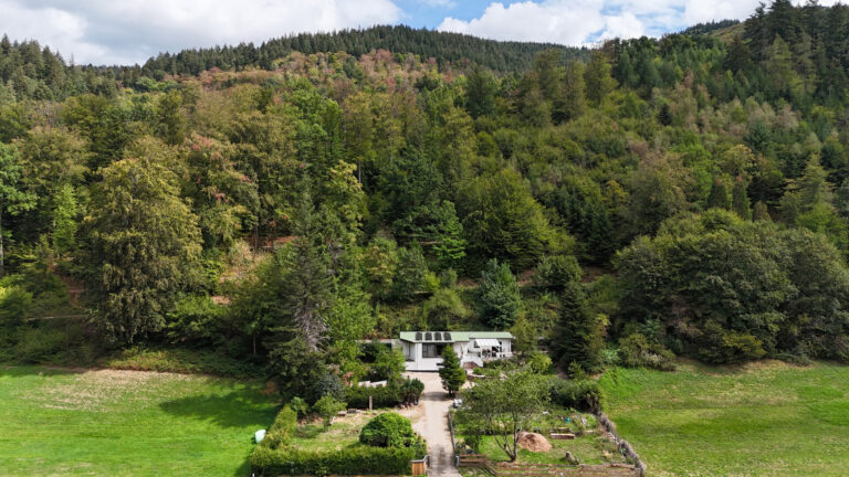 DJI_20260905132728_0218_D