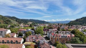 Schwarzwaldblick