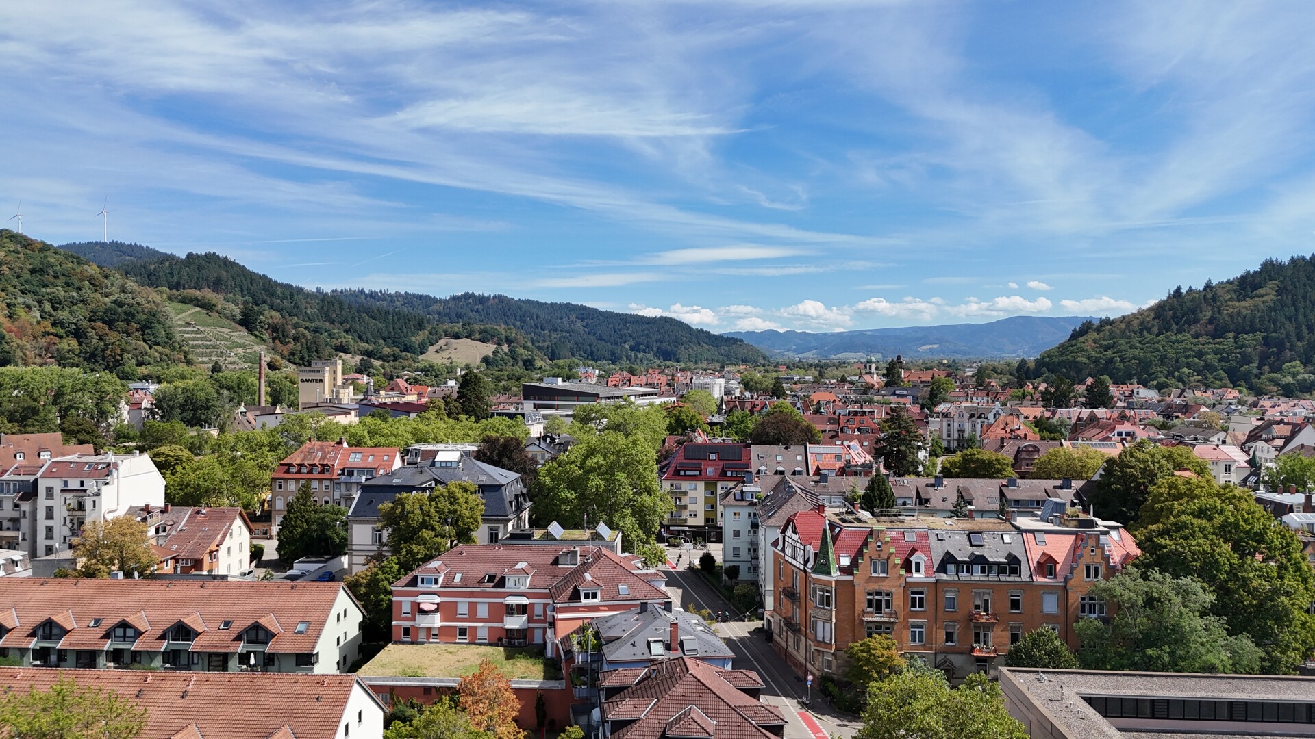 Schwarzwaldblick