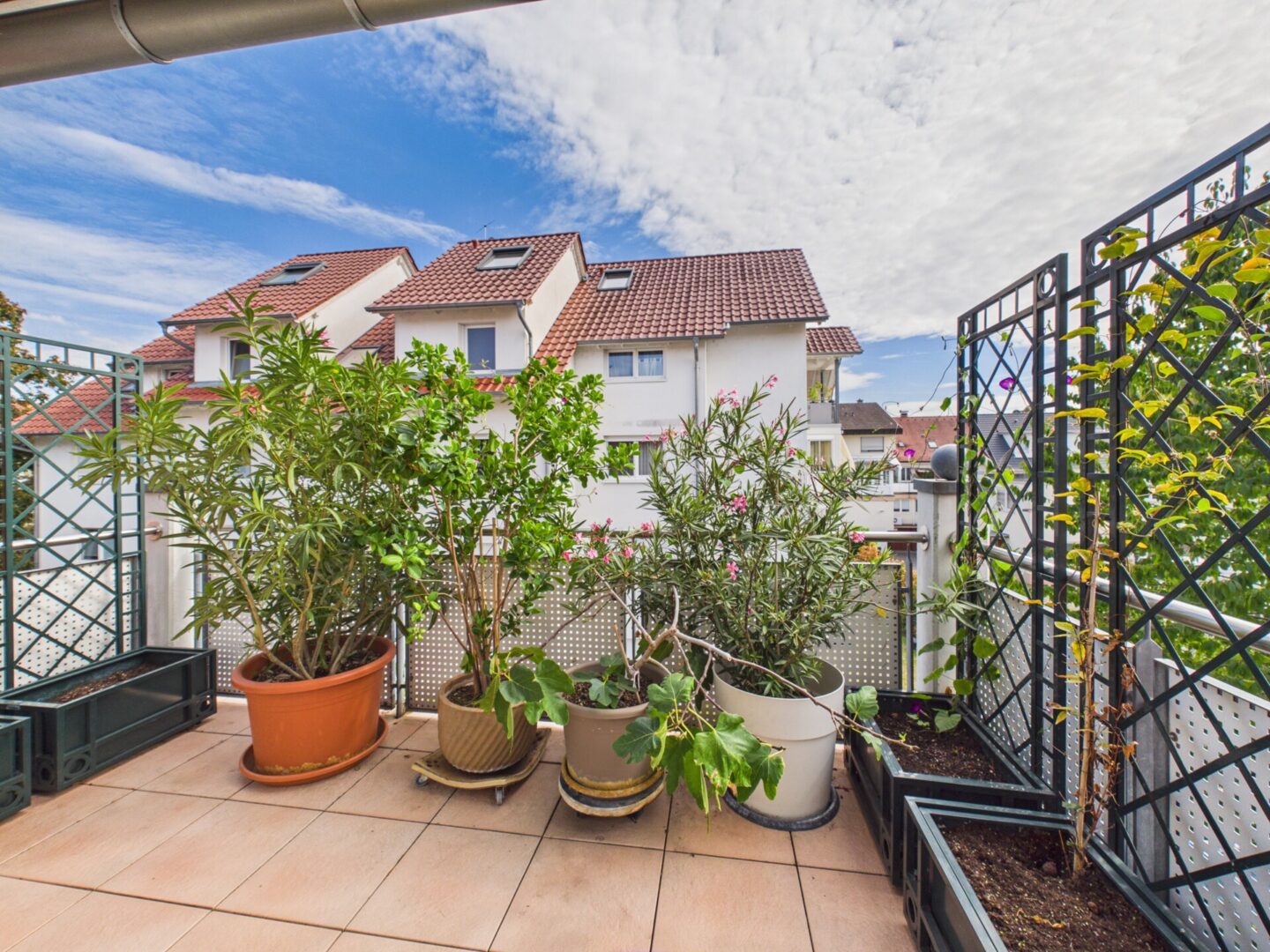 Ein grüner Lieblingsplatz unter freiem Himmel
