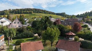 Das ca. 884 m² große Grundstück: Malerisch gelegen - umgeben von Weinbergen