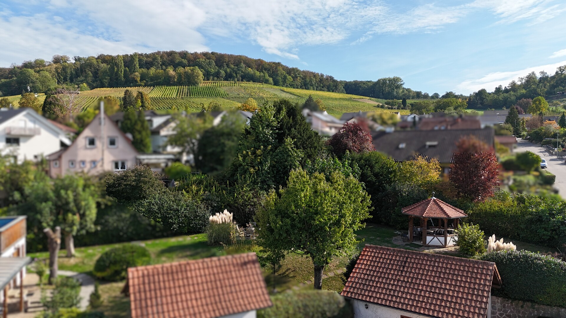 Das ca. 884 m² große Grundstück: Malerisch gelegen - umgeben von Weinbergen